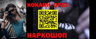 прущие грибы Будённовск