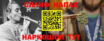 прущие грибы Будённовск