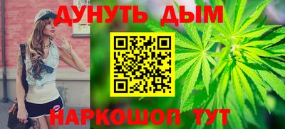 прущие грибы Будённовск