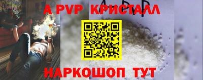 прущие грибы Будённовск