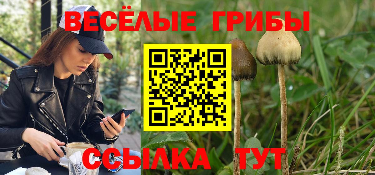 Псилоцибиновые грибы мицелий Костомукша