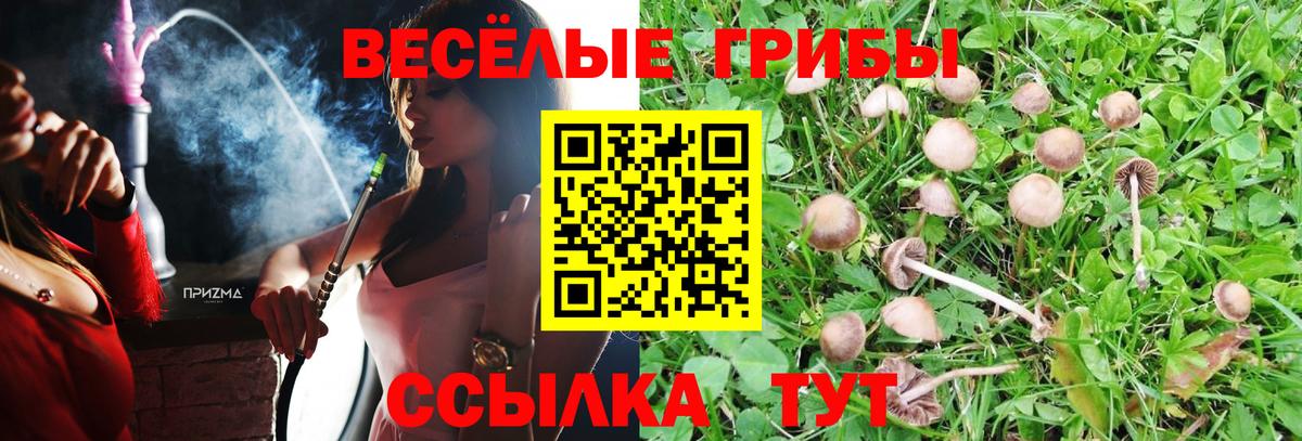 Костомукша  как найти   Вход с VPN  Галлюциногенные грибы GOLDEN TEACHER 